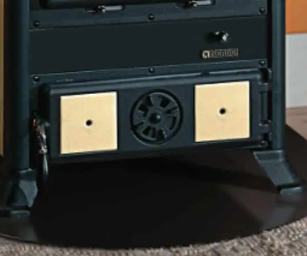 Rossella pergamena – Bild 3