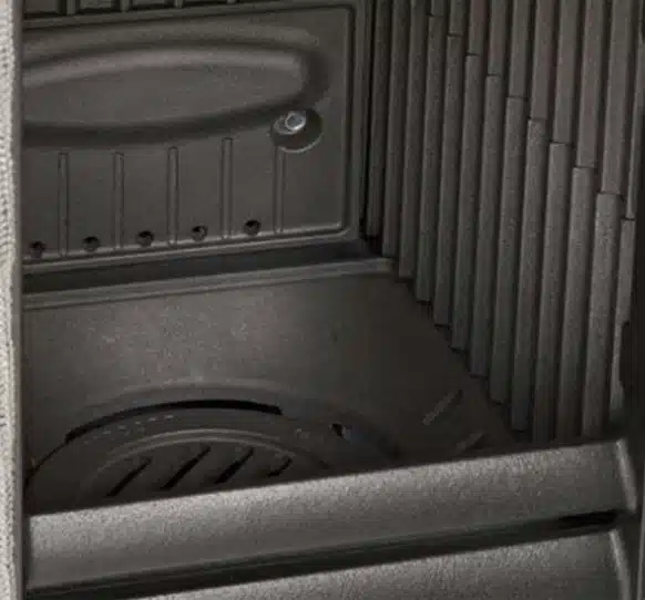 Rossella pergamena – Bild 2