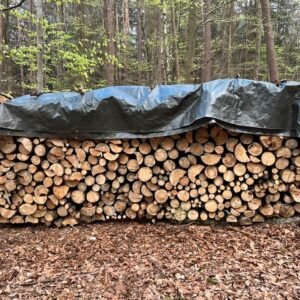 15 Raummeter Brennholz-Mix (Laubholz)